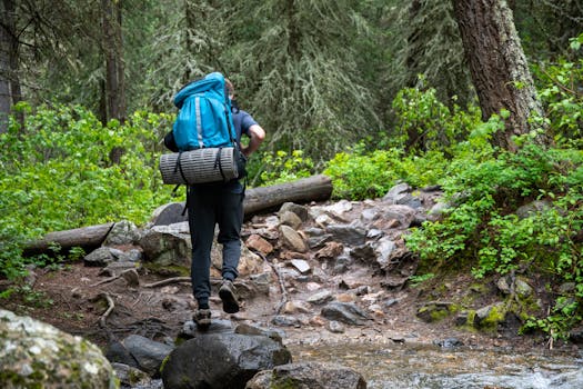 scenic view of a backpacking trail