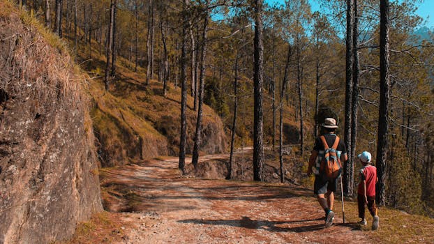 family hiking in a national park