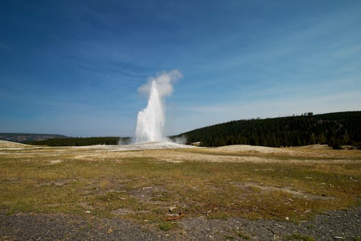 beautiful national park scene