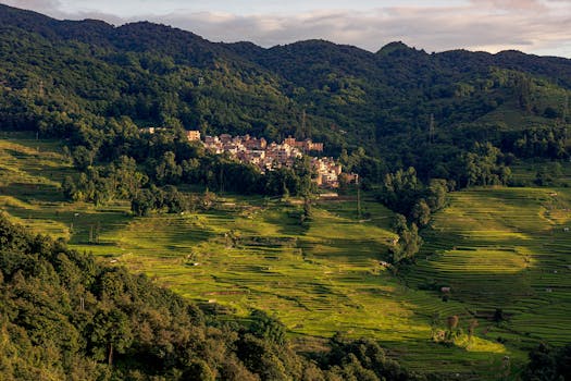 a traveler volunteering at an organic farm