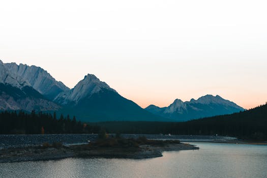 Scenic view of a national forest with camping spots