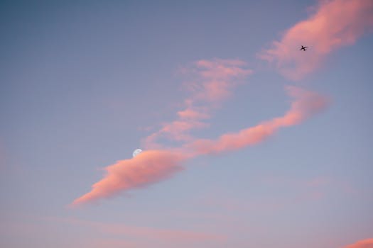 airplane soaring in the sky