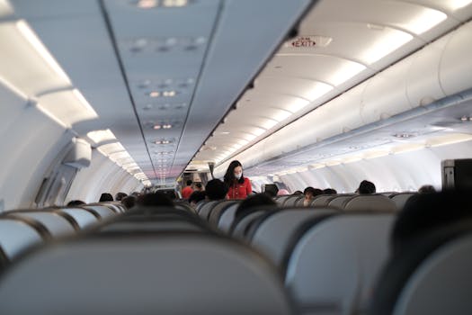 happy traveler boarding a plane