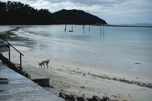 beautiful view of a quiet beach